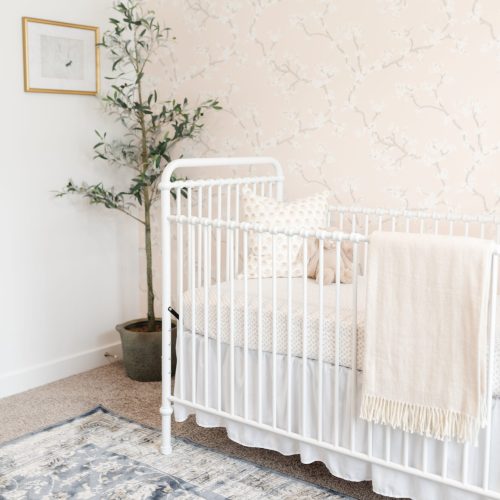 Barney Nursery-5 copy